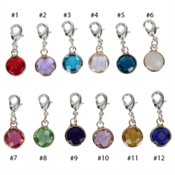 1 Set Clip On Birthstone Dangle Charms 8mm Austrian Crystal Beads, Silver Lobster Clasp (12 birthstone charms)#CCP4-SL