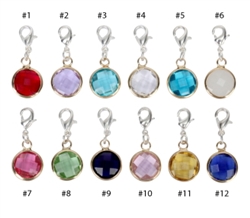 1 Set Clip On Birthstone Dangle Charms 10mm Austrian Crystal Beads, Silver Lobster Clasp (12 birthstone charms) #CCP5-SL